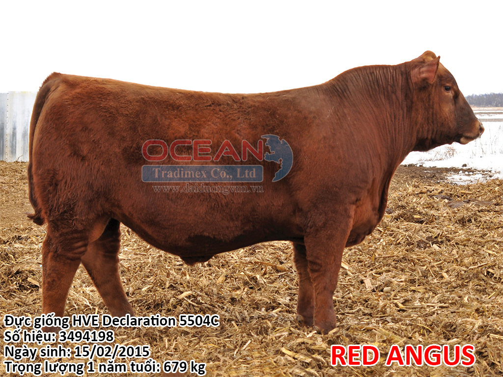 HVE Declaration 5504C