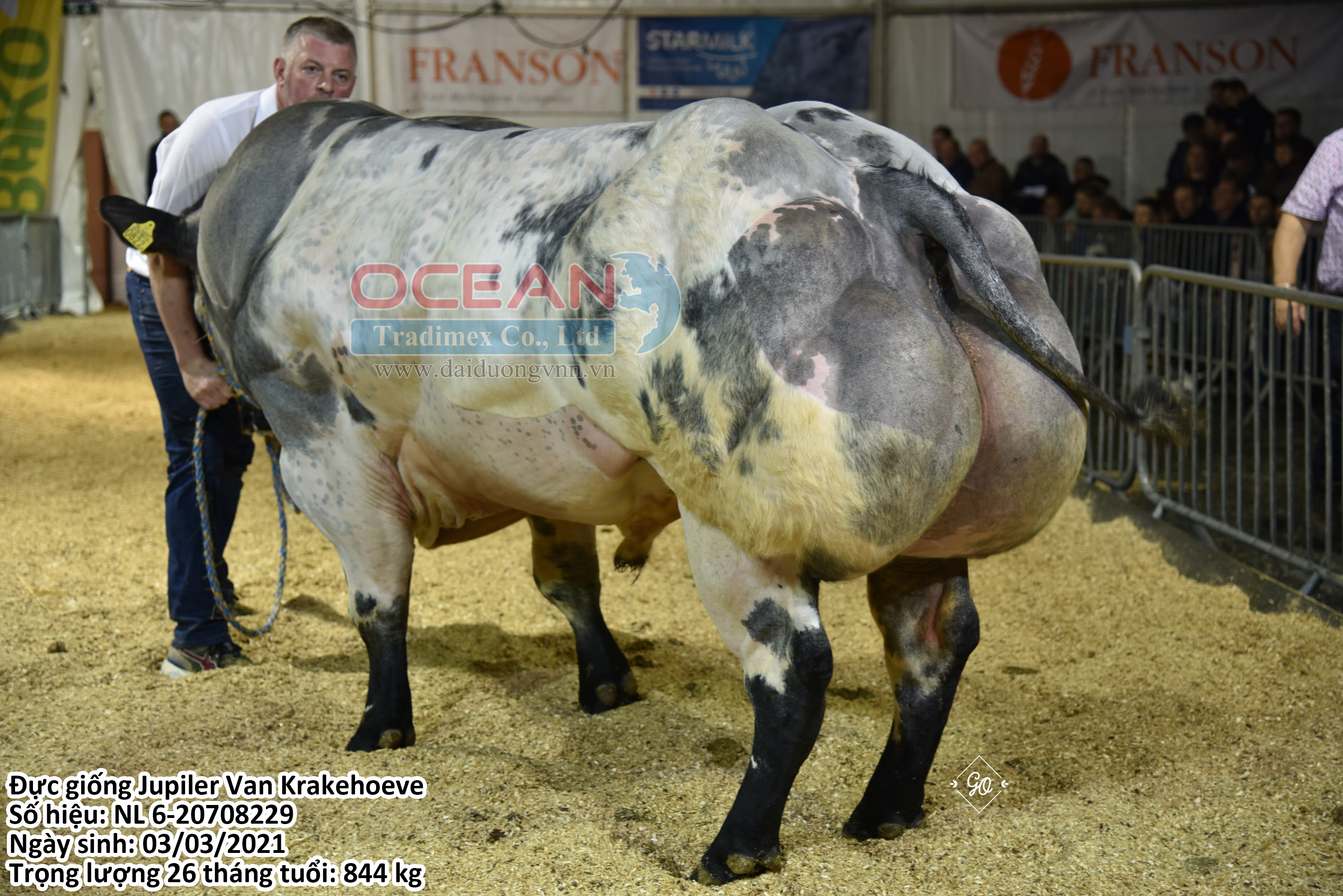 Jupiler Van Krakehoeve