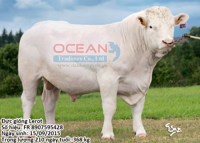 Đực giống Lerot