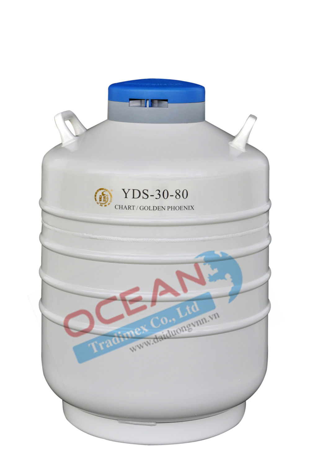 Bình Chứa Ni-tơ Lỏng YDS-30-80