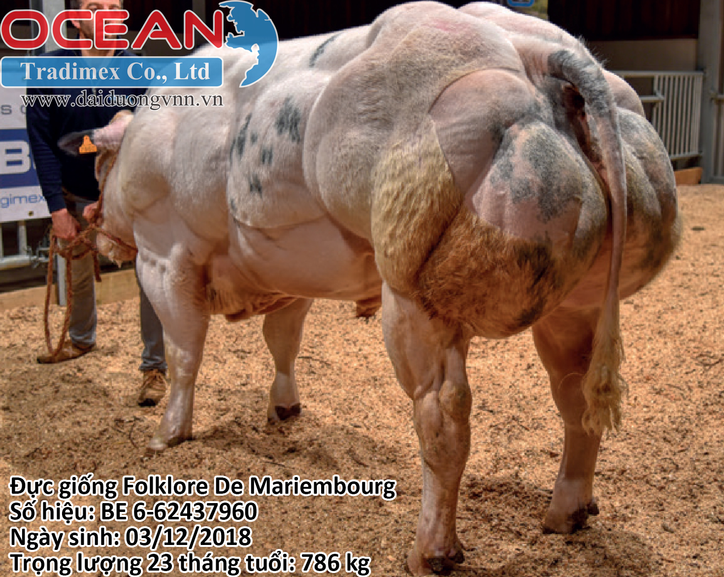 Folklore de Mariembourg