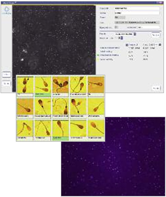 Phần mềm phân tích tinh