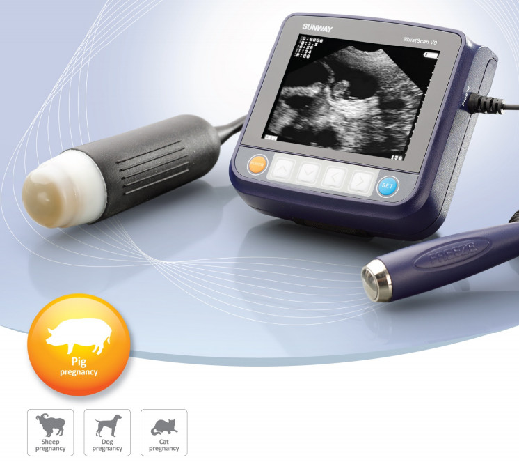 Máy siêu âm thai gia súc